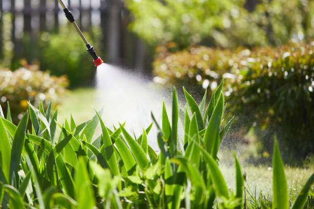 24/7 Emergency Mosquito Control experts in Chicago Ridge, IL