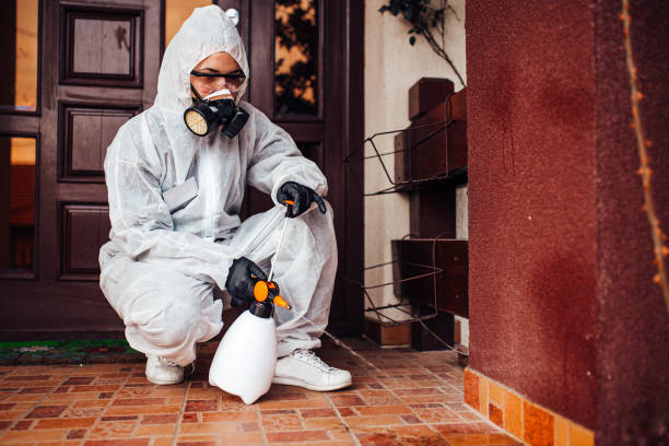 Reliable Mosquito Control contractor in Chicago Ridge, IL by Show Me Pest Control